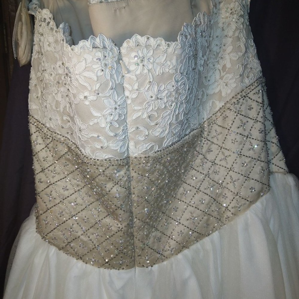 Davids Bridal Wedding or Quinceñera dress